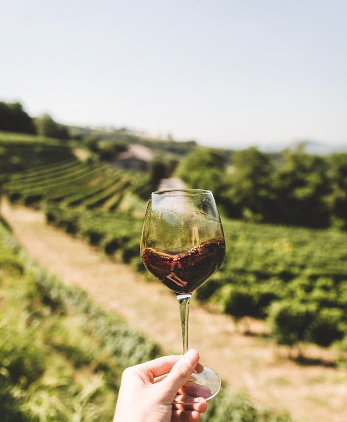 vini-in-degustazione-le-guaite-di-noemi-a-mezzane-in-valpolicella