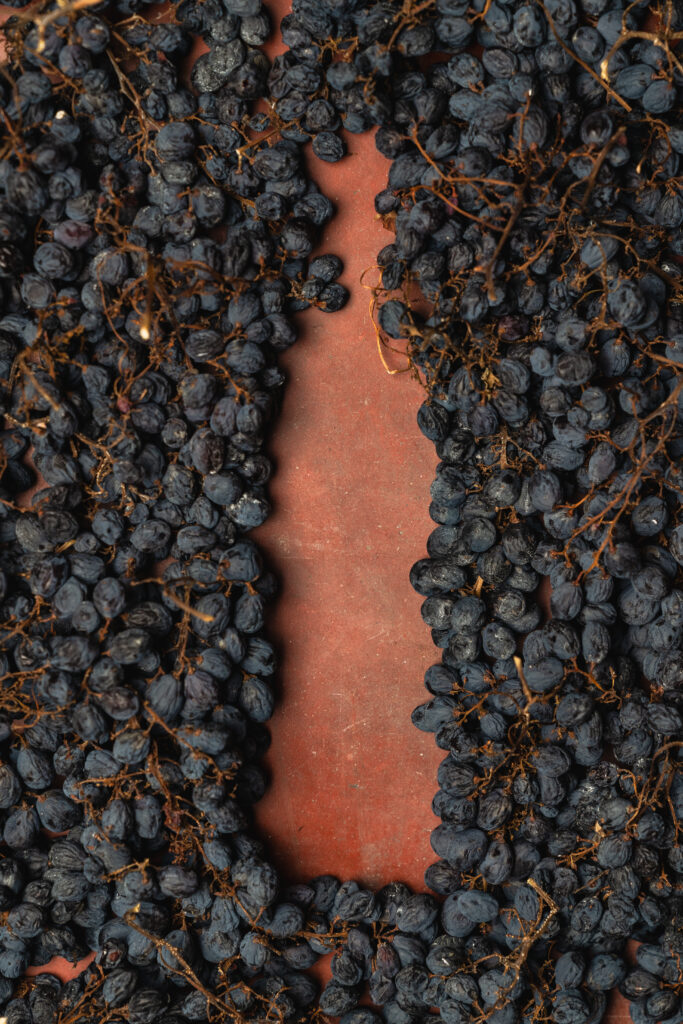 Degustazione Amarone della Valpolicella durante Amarone Opera Prima